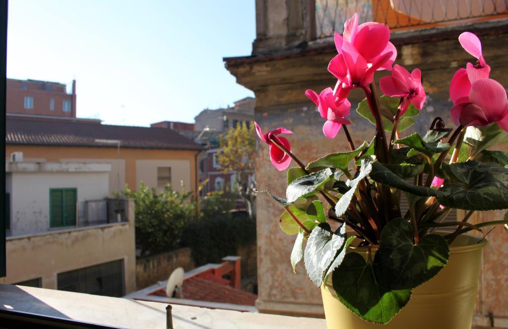 Bed & Breakfast Abaco Rome
